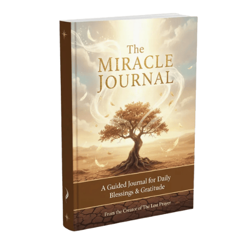 The Miracle Journal